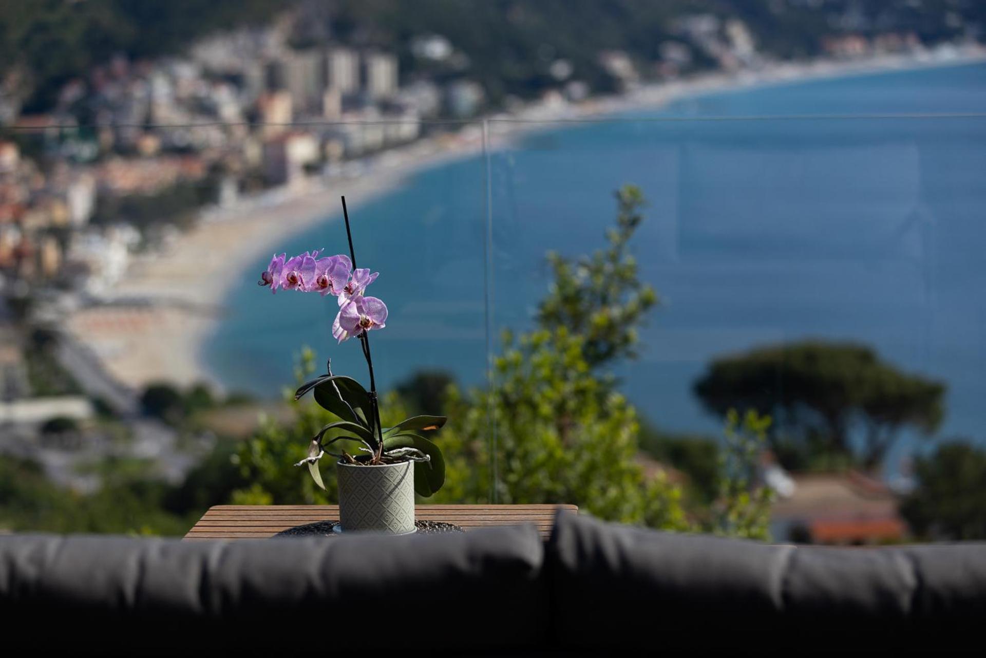Вілла Spettacolare Vista Isola Terrazza E Idromassaggio Нолі Екстер'єр фото